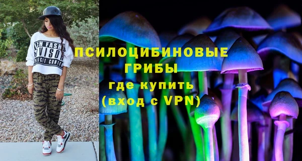 СК Аркадак