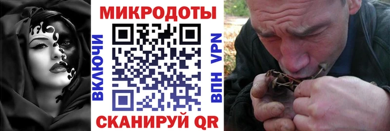 KRAKEN   Малгобек  Псилоцибиновые грибы GOLDEN TEACHER  купить  сайты 
